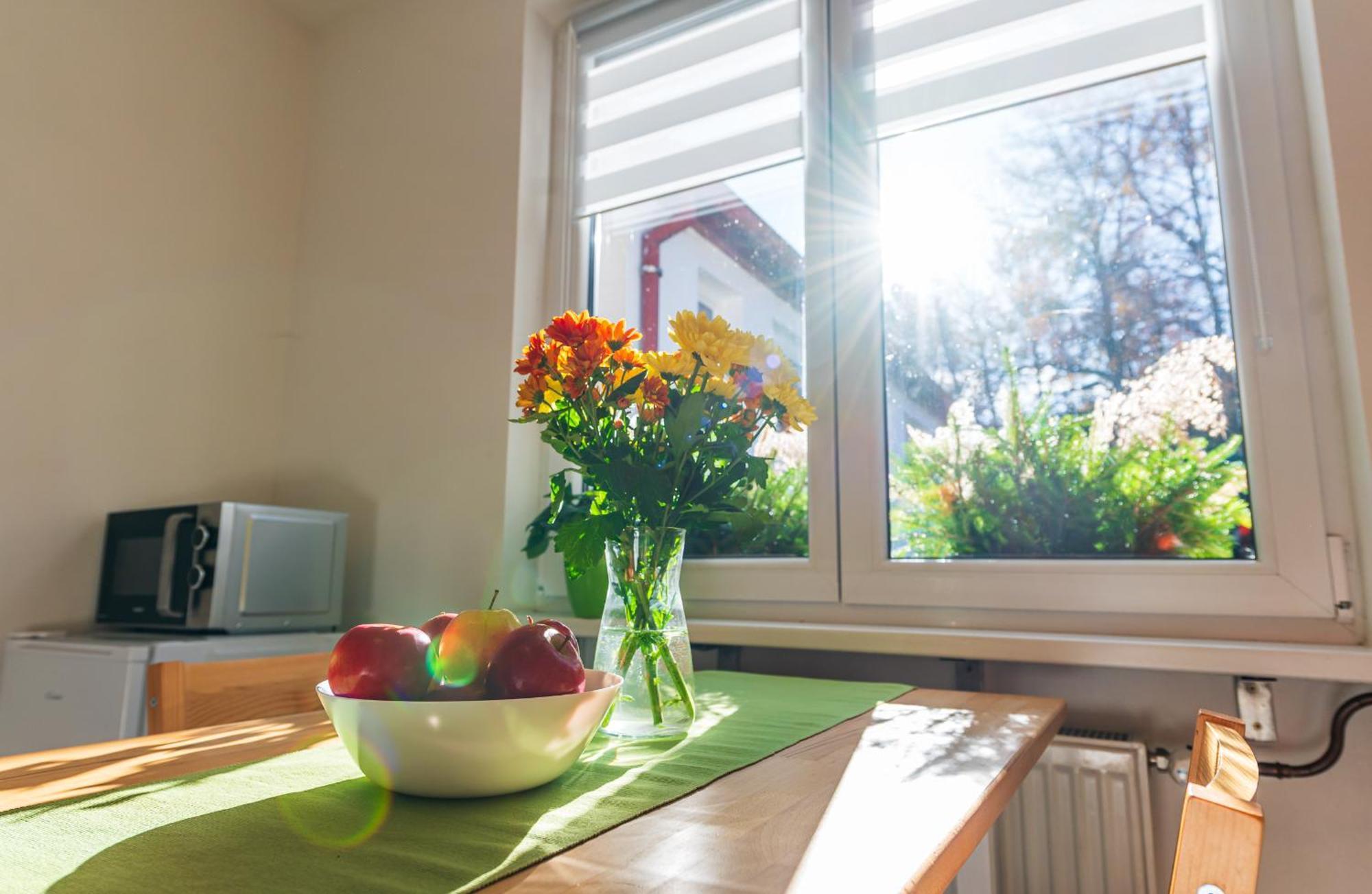 Ubytovani Na Samote - Apartman U Tesaru Komarice Exterior foto