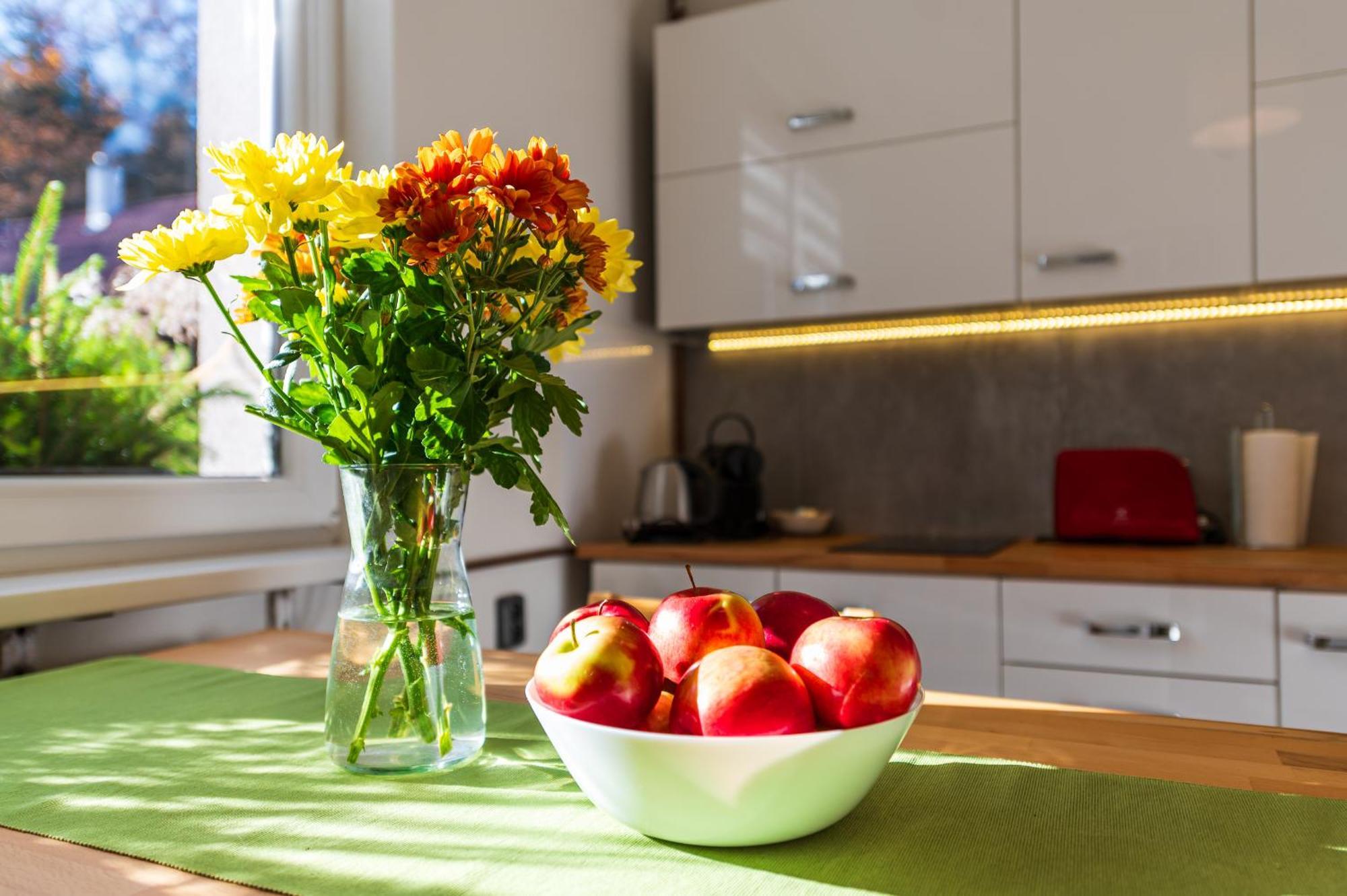 Ubytovani Na Samote - Apartman U Tesaru Komarice Exterior foto